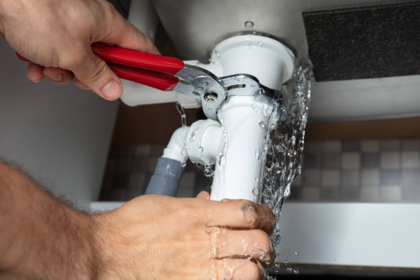 Best Water damage restoration near me  in Zolfo Springs, FL