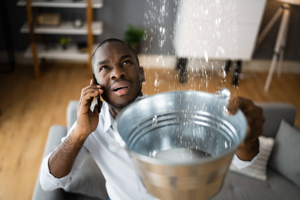Best Water damage mitigation services  in Zolfo Springs, FL