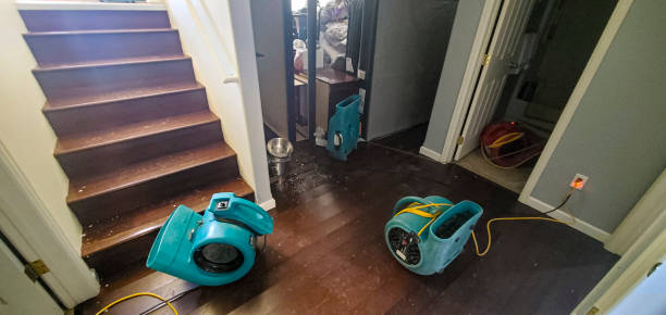 Best Flood restoration services  in Zolfo Springs, FL