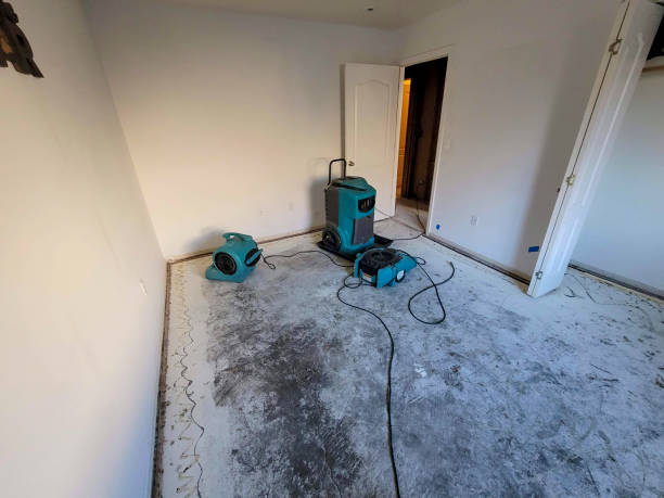 Best Water damage contractors near me  in Zolfo Springs, FL