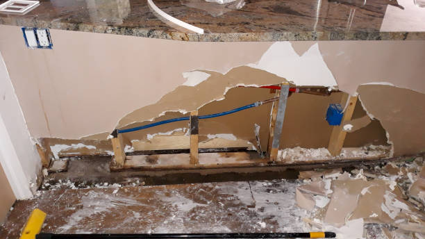 Best Local water damage restoration  in Zolfo Springs, FL