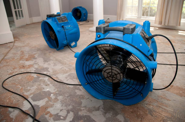 Best 24/7 water damage repair  in Zolfo Springs, FL