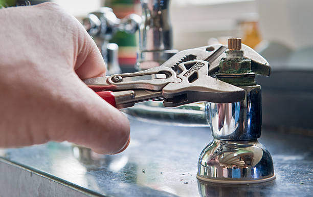 Best Local water damage restoration  in Zolfo Springs, FL