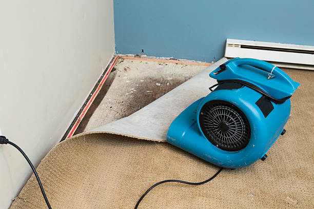 Best Emergency water damage restoration  in Zolfo Springs, FL